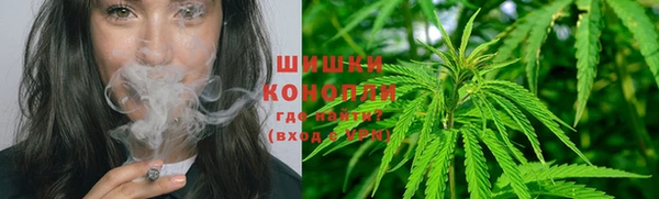 ГАЛЛЮЦИНОГЕННЫЕ ГРИБЫ Алексин