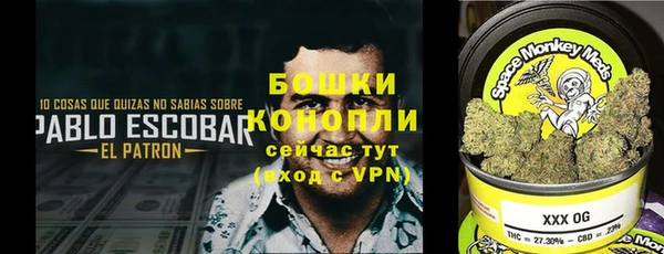 ГАЛЛЮЦИНОГЕННЫЕ ГРИБЫ Алексин
