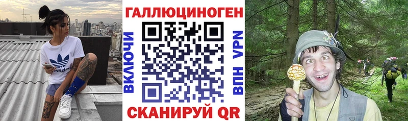 где можно купить наркотик  блэк спрут рабочий сайт  Галлюциногенные грибы MAGIC MUSHROOMS  Бакал 
